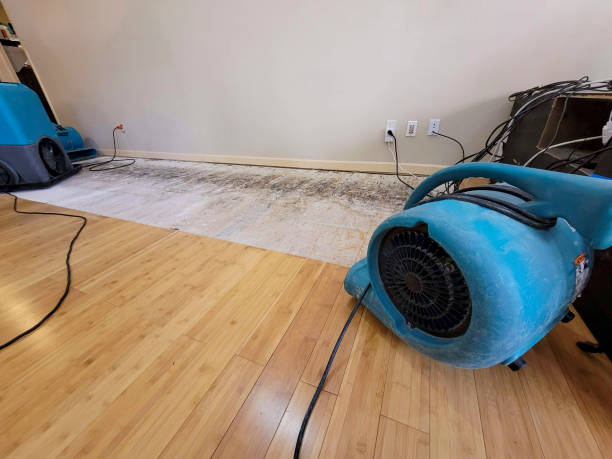 Professional Water Extraction technician working in Shawnee, KS